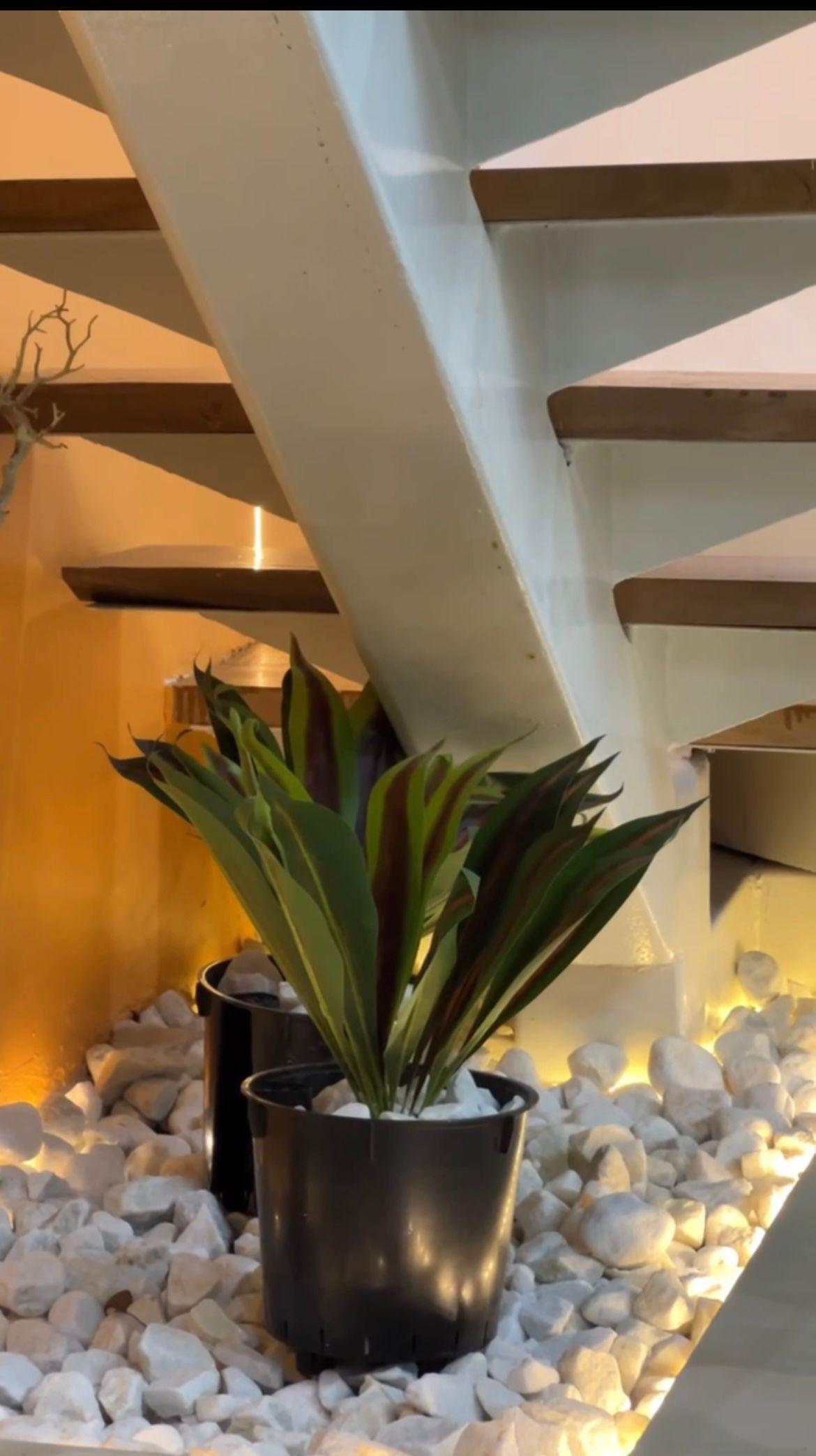 https://image.cityspacesandbookings.com/apartments/68cef4b5ba870733e130f25d/bedroom/IMG_4784.jpeg